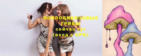 дурь Алексеевка