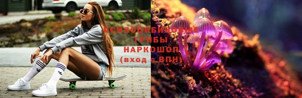 Альфа ПВП Алзамай